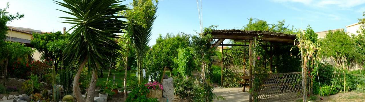 Bed & Breakfast B&B Nurachi *